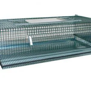 kletka za prepelice nesnice ali vzrejo