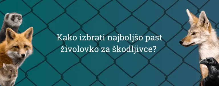 past živolovka