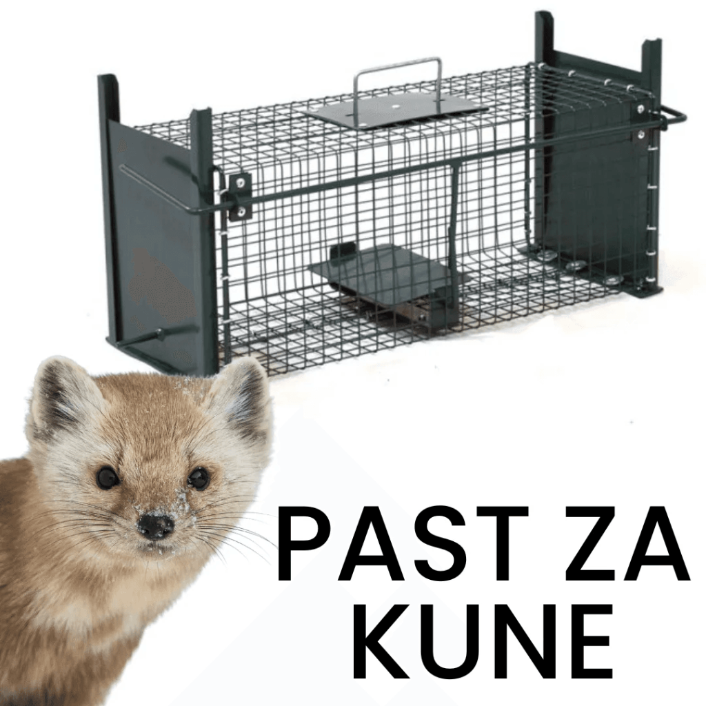 past za kune