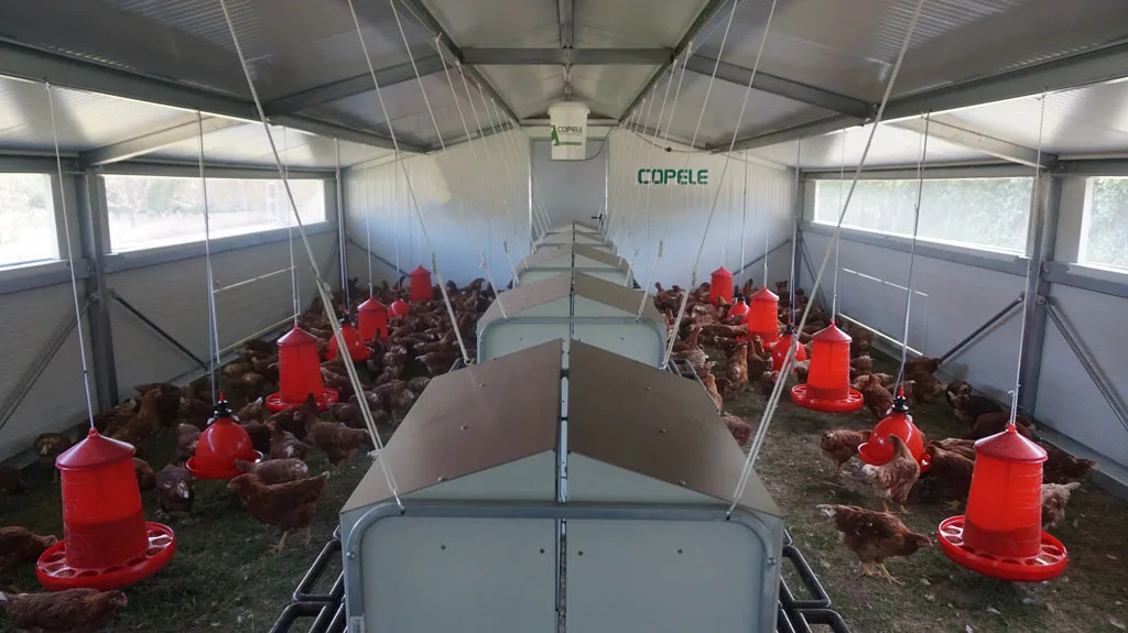 Mobilni kokošnjak Continental z izolirano konstrukcijo, snemljivimi kolesi in traktor priklopom za ekološko rejo perutnine.