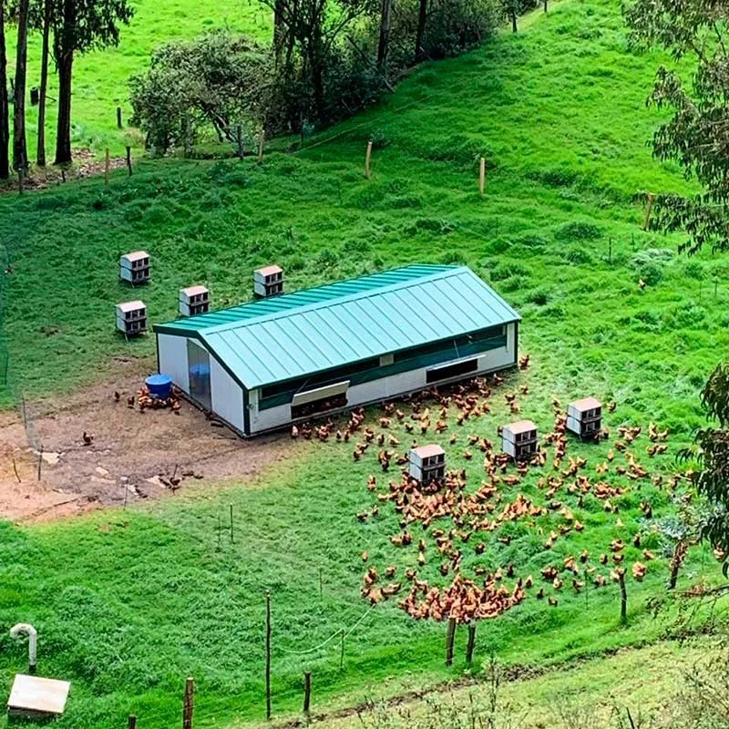 Mobilni kokošnjak Continental – ekološki, premični in popolnoma izoliran sistem za vrhunsko rejo - slika 3