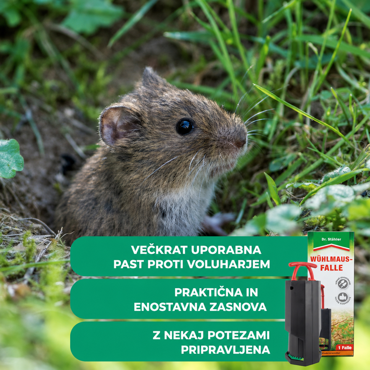 Profesionalna kovinska past za voluharje – dvosmerna, večkratna uporaba - slika 6