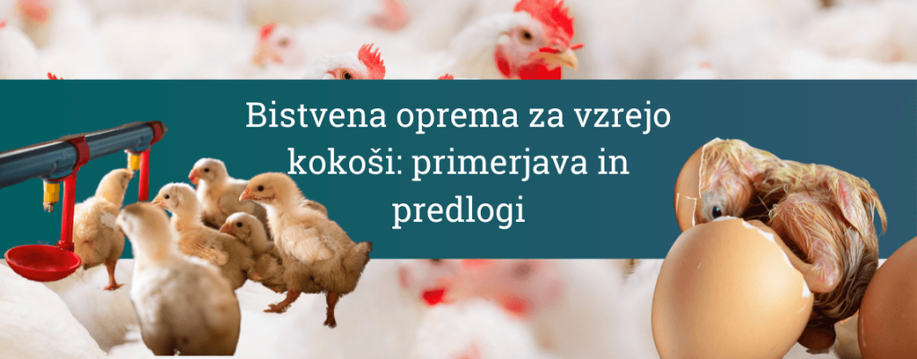 oprema-za-kokoši-nesnice