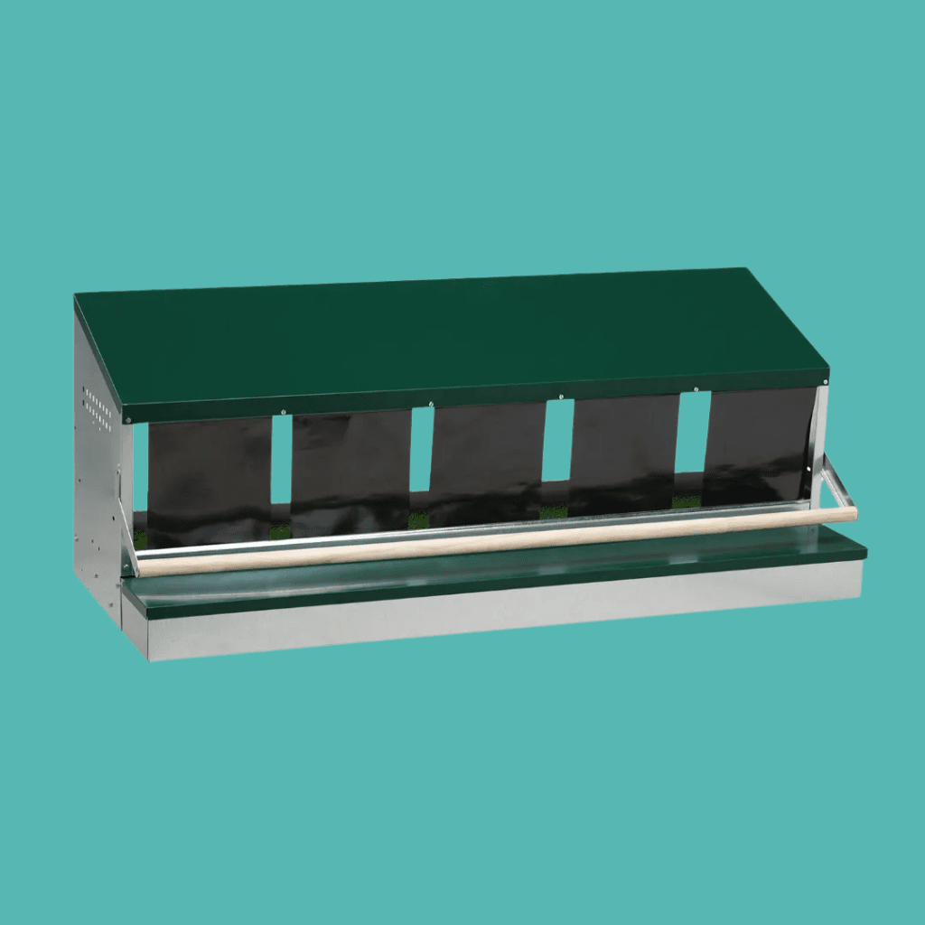 Kako vzgajati kokoši