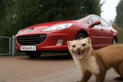 Kemo M157 – Profesionalna zaščita motorja pred kunami