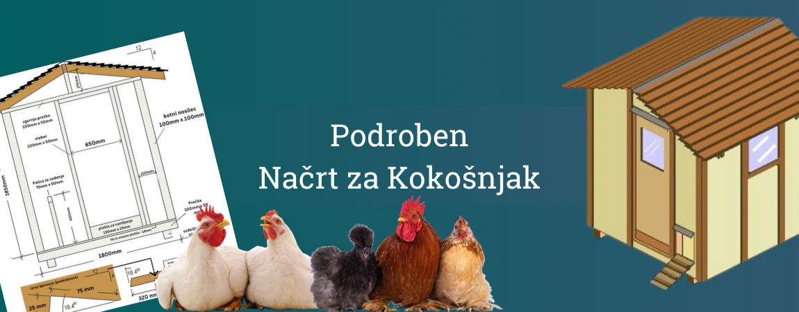 Kokošnjak načrt