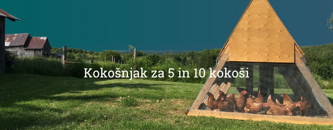 Kokošnjak za 10 kokoši