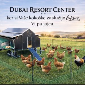 Mobilni kokošnjak Dubai z mrežo, popolen dom za perutnino