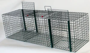 KLETKA PAST – ŽIVOLOVKA ZA KROKARJE, VRANE IN PODOBNE PTICE (100 × 30 × 30 cm)