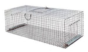 KLETKA PAST – ŽIVOLOVKA ZA KROKARJE, VRANE IN PODOBNE PTICE (100 × 30 × 30 cm)