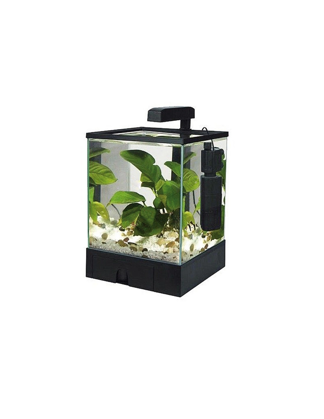 Nano akvarij AquaBox 6 L z LED lučj