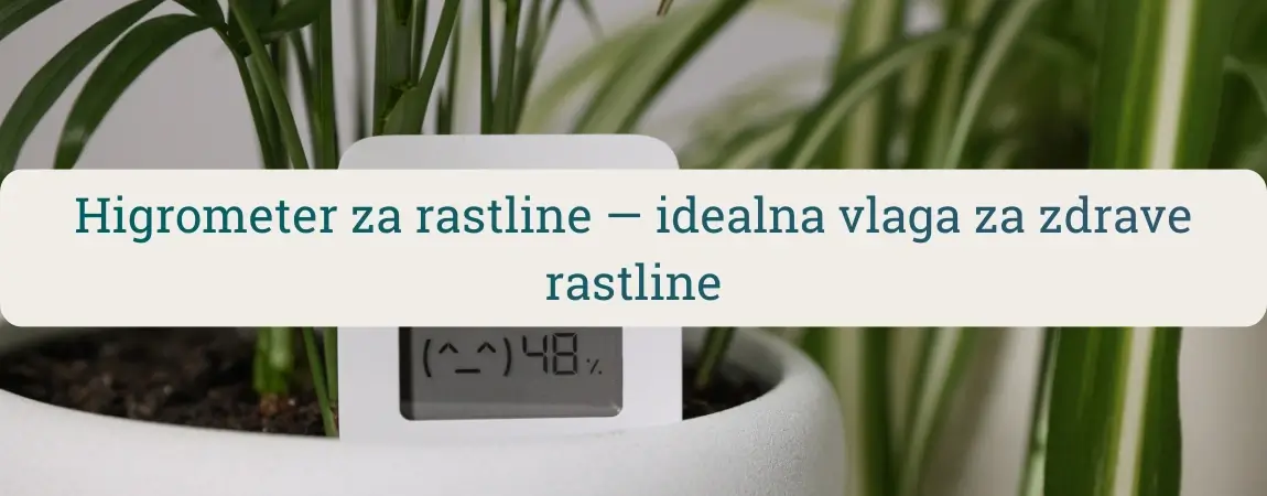 Digitalni higrometer v lončnici meri vlažnost zraka – higrometer za rastline za nadzor idealne vlage in mikroklime v prostoru
