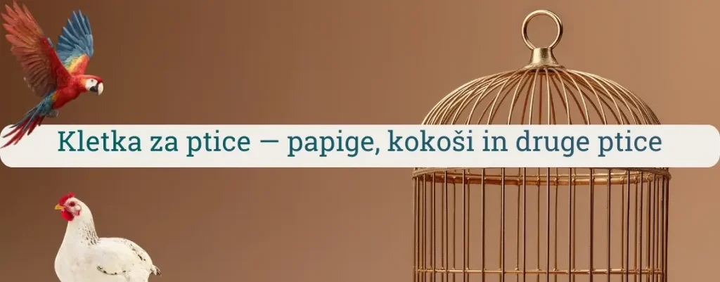 Kletka za ptice za papige, kokoši in druge ptice – vodnik za izbiro prave kletke glede na velikost, varnost in uporabo.