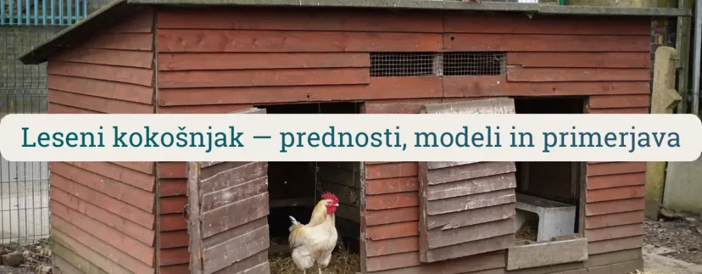 Leseni kokošnjak z izpustom in petelinom – primer lesenega kokošnjaka za domačo rejo, zaščito pred plenilci in lažje čiščenje