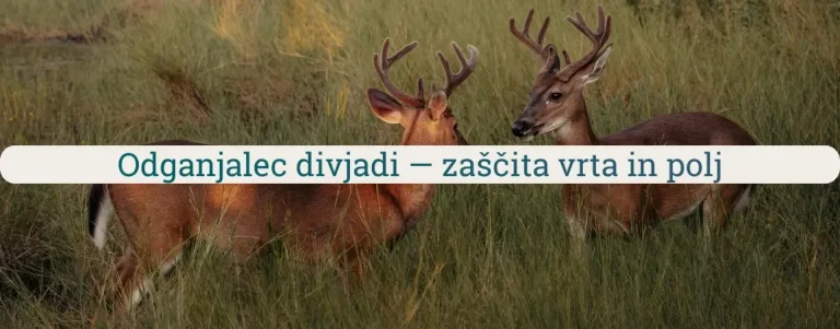 Odganjalec divjadi z jelenjadjo na travniku kot primer škode na vrtu in polju