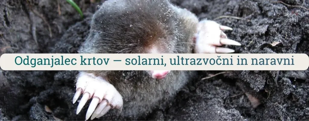 Odganjalec krtov na fotografiji krta v zemlji, prikaz zaščite trate in vrta pred krtinami z naravnimi, solarnimi in vibracijskimi rešitvami