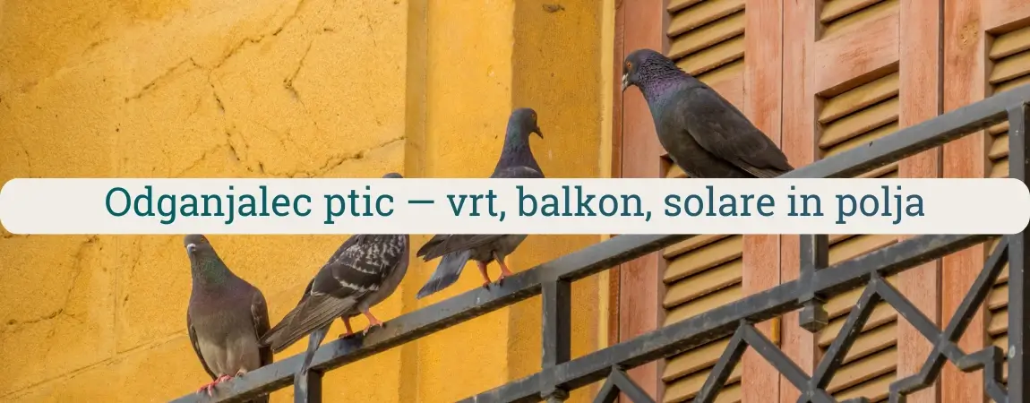 Golobi sedijo na balkonski ograji ob stavbi, kar prikazuje tipično težavo, kjer pride prav odganjalec ptic za balkon.