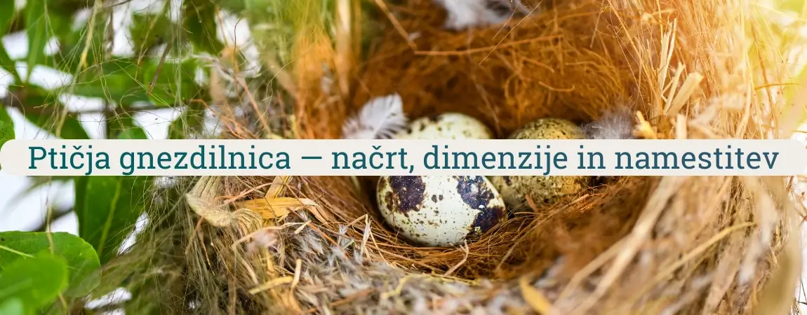Ptičja gnezdilnica z gnezdom in jajci med vejami, prikaz pravilnega zavetja za gnezdenje vrtnih ptic.