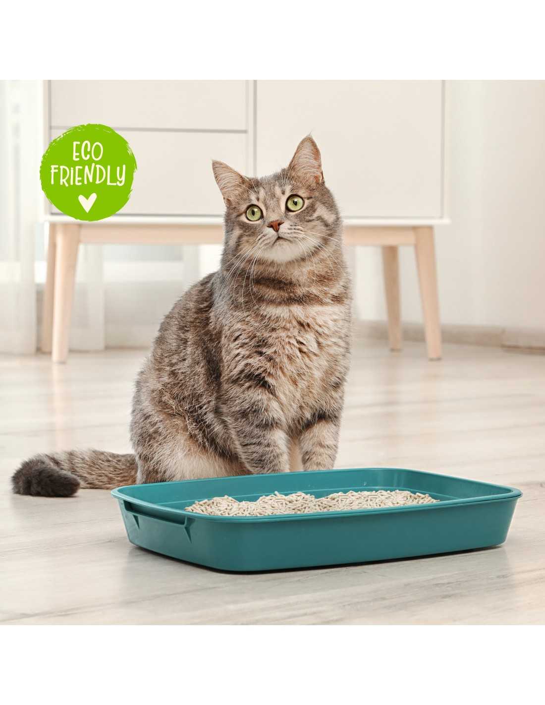 CAT&RINA BeNatural tofu mačji pesek 10 L naravni rastlinski mačji pesek iz sojinih vlaken z dobrim vpijanjem vonjav in grudicam