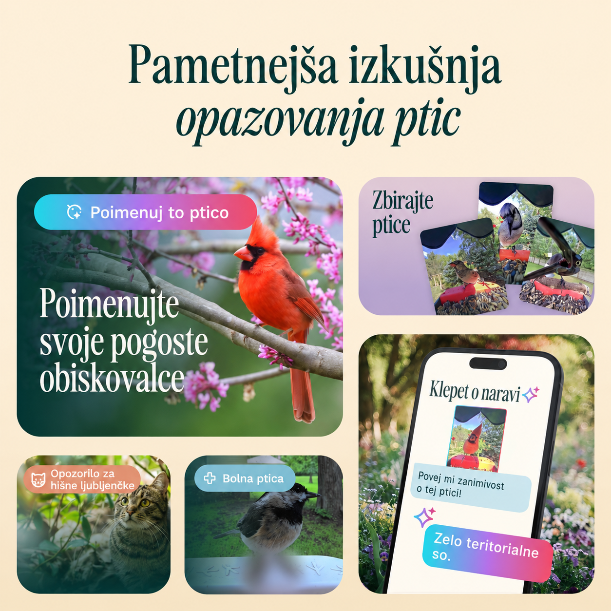 Birdbuddy PRO Solar – pametni AI hranilnik za ptice z 2K HDR kamero in solarnim napajanjem - slika 6