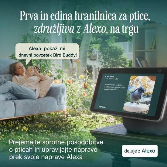 Birdbuddy PRO Solar – pametni AI hranilnik za ptice z 2K HDR kamero in solarnim napajanjem - slika 5