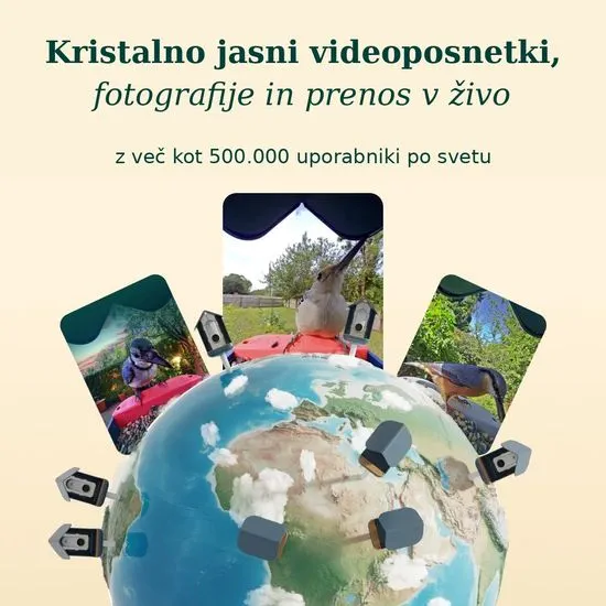 Birdbuddy PRO Solar – pametni AI hranilnik za ptice z 2K HDR kamero in solarnim napajanjem - slika 8