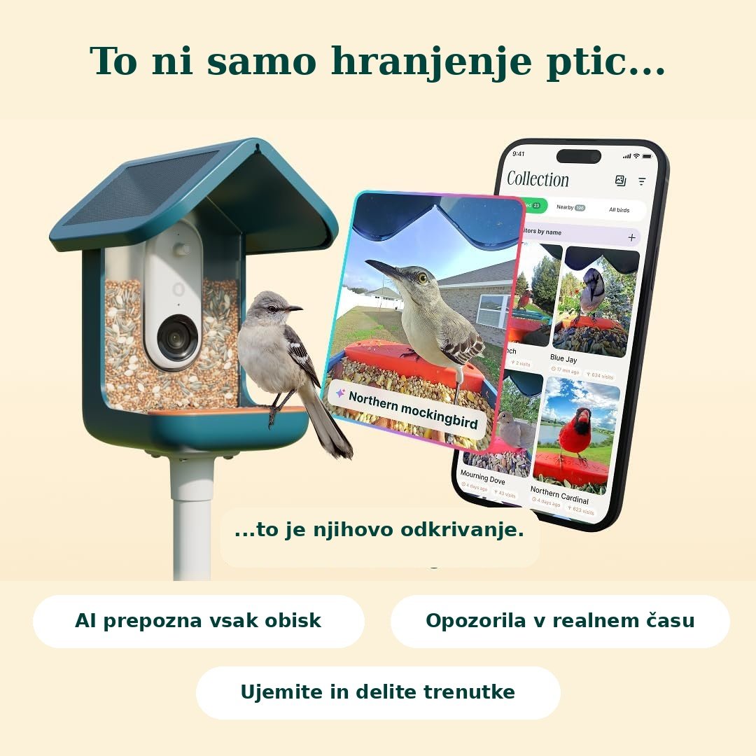 Birdbuddy PRO Solar – pametni AI hranilnik za ptice z 2K HDR kamero in solarnim napajanjem - slika 9