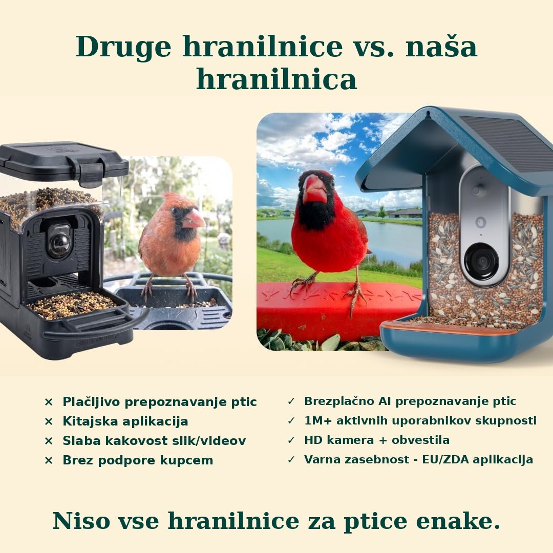 Birdbuddy PRO Solar – pametni AI hranilnik za ptice z 2K HDR kamero in solarnim napajanjem - slika 10