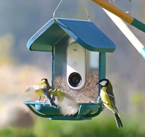 Birdbuddy PRO Solar – pametni AI hranilnik za ptice z 2K HDR kamero in solarnim napajanjem - slika 12