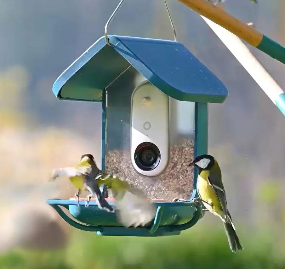 Birdbuddy PRO Solar spremeni vrt ali balkon v pametno opazovalnico ptic z 2K HDR kamero, AI prepoznavanjem vrst in solarnim napajanjem.