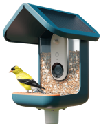 birdbuddy pro solar pametni ai hranilnik za ptice z 2k hdr kamero 5mp fotografijami solarno streho in aplikacijo