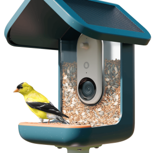 birdbuddy pro solar pametni ai hranilnik za ptice z 2k hdr kamero 5mp fotografijami solarno streho in aplikacijo