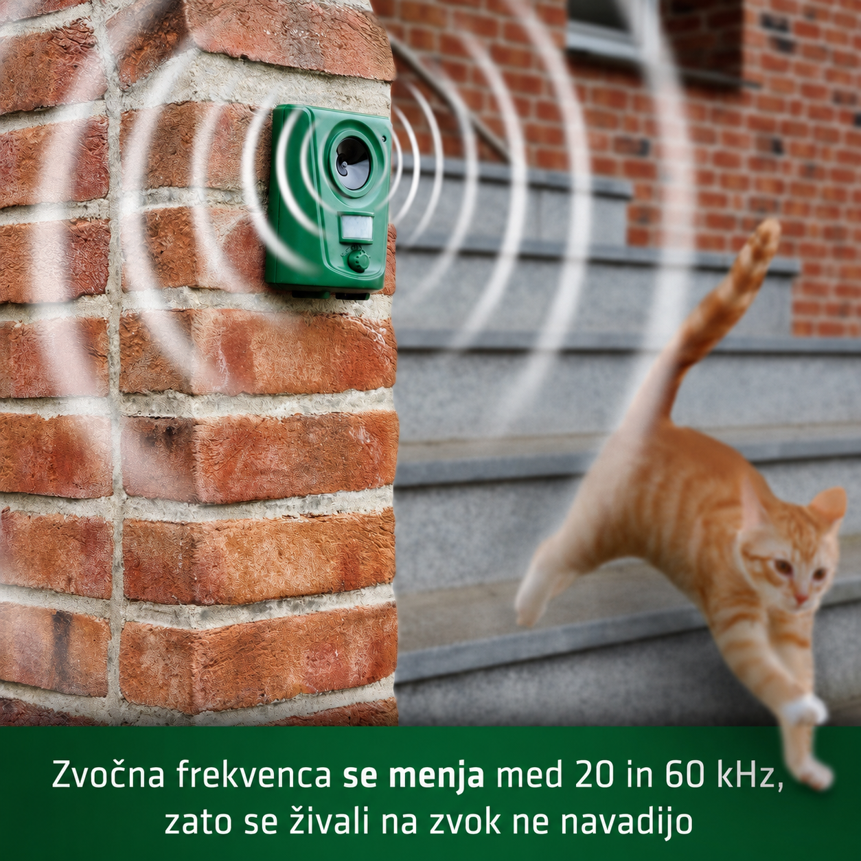 Odganjalec mačk in psov Gardigo – ultrazvočni odganjalec s senzorjem gibanja - slika 4