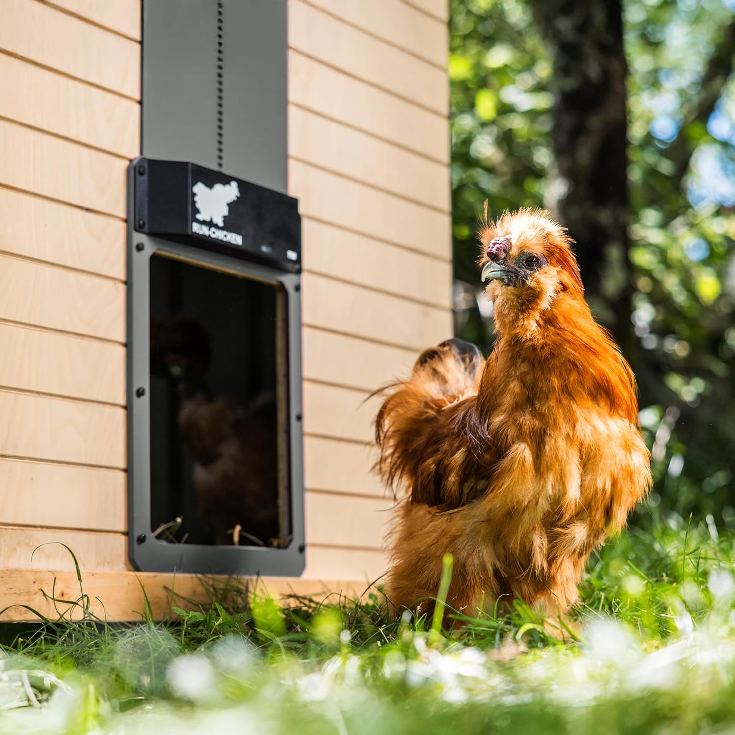 RUN-CHICKEN T50 – avtomatska vrata za kokošnjak z aplikacijo, GPS, timerjem in senzorjem svetlobe - slika 2
